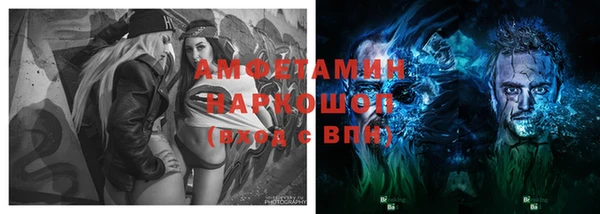 прущие грибы Тында