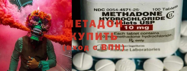прущие грибы Тында