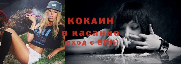 прущие грибы Тында