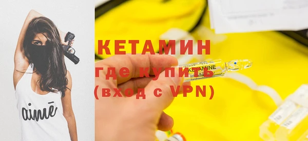 прущие грибы Тында