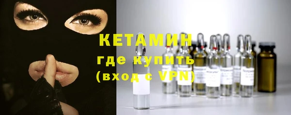 прущие грибы Тында