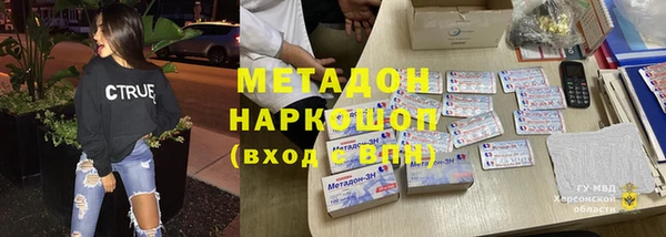 прущие грибы Тында