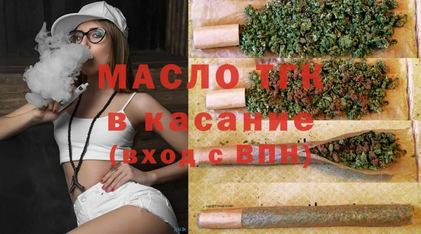 прущие грибы Тында