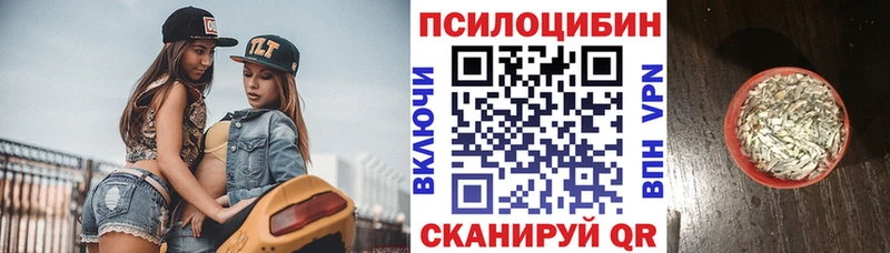Псилоцибиновые грибы ЛСД  Купить закладки  Бакал 